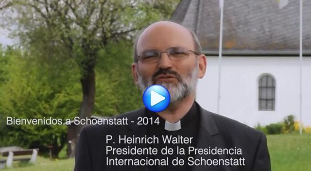 P Heinrich Walter