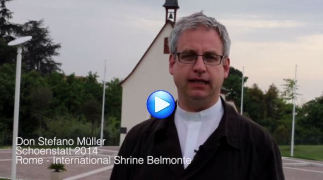 Don Stefano Mller