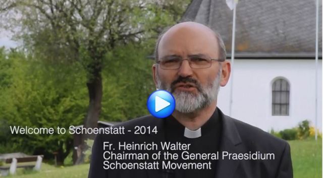 P Heinrich Walter